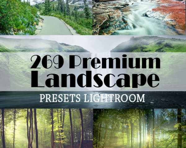 Lightroom Presets: احصل على مجموعة الفريدة من نوعها مع حقوق إعادة البيع الكاملة! Lightroom Presets